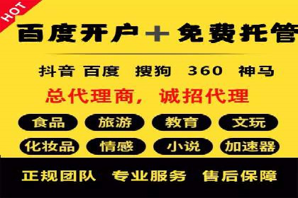 揭秘SEM代运营的成功要素与策略